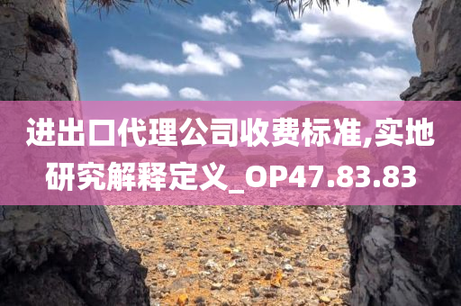 进出口代理公司收费标准,实地研究解释定义_OP47.83.83