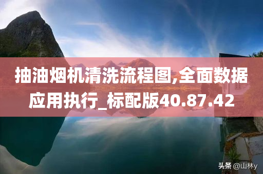 抽油烟机清洗流程图,全面数据应用执行_标配版40.87.42