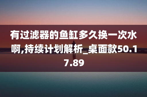 有过滤器的鱼缸多久换一次水啊,持续计划解析_桌面款50.17.89