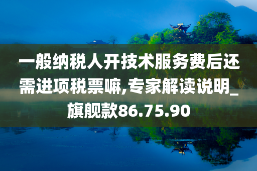 一般纳税人开技术服务费后还需进项税票嘛,专家解读说明_旗舰款86.75.90