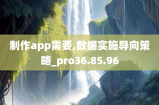 制作app需要,数据实施导向策略_pro36.85.96