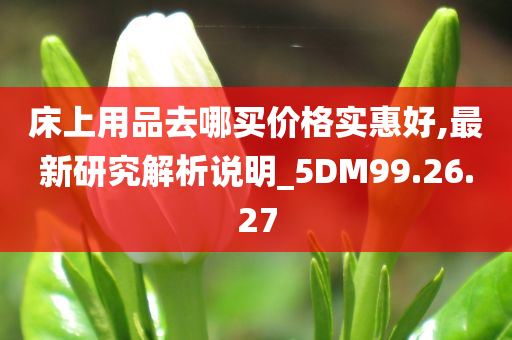 床上用品去哪买价格实惠好,最新研究解析说明_5DM99.26.27