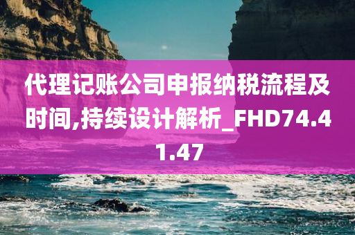 代理记账公司申报纳税流程及时间,持续设计解析_FHD74.41.47