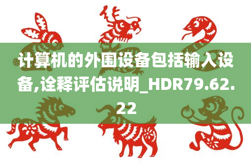 计算机的外围设备包括输入设备,诠释评估说明_HDR79.62.22