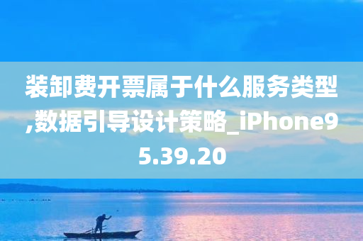 装卸费开票属于什么服务类型,数据引导设计策略_iPhone95.39.20