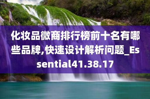 化妆品微商排行榜前十名有哪些品牌,快速设计解析问题_Essential41.38.17