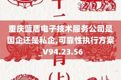 重庆蓝盾电子技术服务公司是国企还是私企,可靠性执行方案_V94.23.56