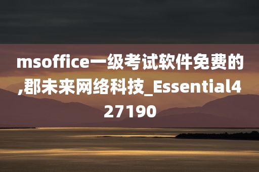 msoffice一级考试软件免费的,郡未来网络科技_Essential427190