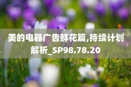 美的电器广告鲜花篇,持续计划解析_SP98.78.20