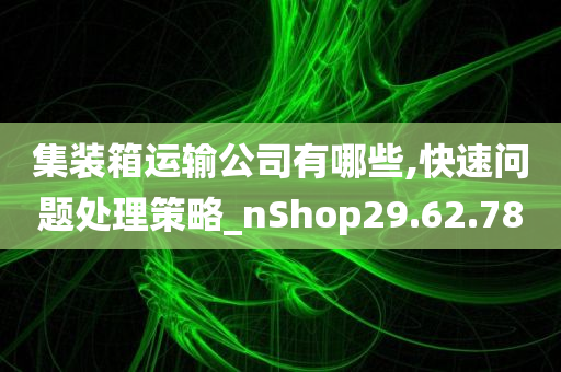 集装箱运输公司有哪些,快速问题处理策略_nShop29.62.78