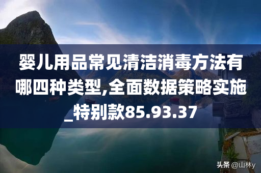 婴儿用品常见清洁消毒方法有哪四种类型,全面数据策略实施_特别款85.93.37