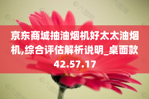 京东商城抽油烟机好太太油烟机,综合评估解析说明_桌面款42.57.17