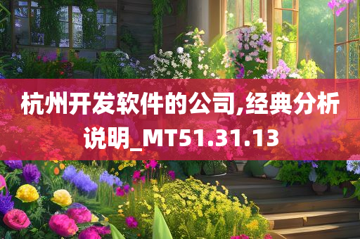 杭州开发软件的公司,经典分析说明_MT51.31.13