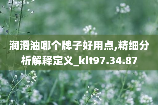 润滑油哪个牌子好用点,精细分析解释定义_kit97.34.87