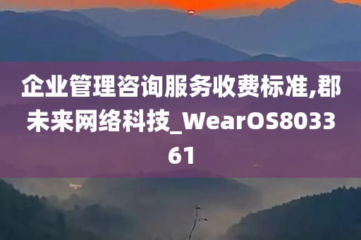 企业管理咨询服务收费标准,郡未来网络科技_WearOS803361