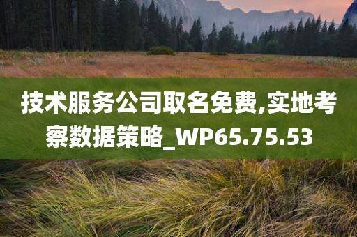 技术服务公司取名免费,实地考察数据策略_WP65.75.53