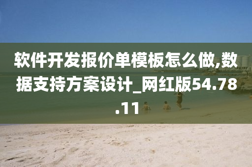 软件开发报价单模板怎么做,数据支持方案设计_网红版54.78.11