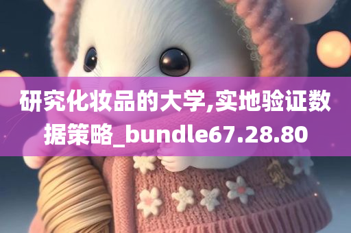 研究化妆品的大学,实地验证数据策略_bundle67.28.80