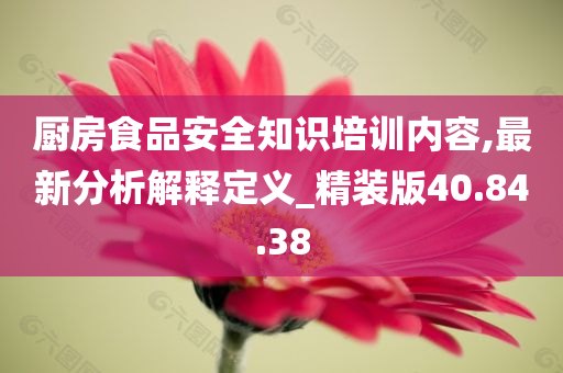 厨房食品安全知识培训内容,最新分析解释定义_精装版40.84.38