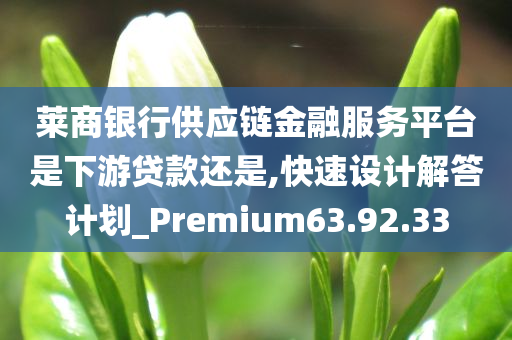 莱商银行供应链金融服务平台是下游贷款还是,快速设计解答计划_Premium63.92.33