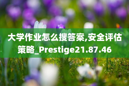 大学作业怎么搜答案,安全评估策略_Prestige21.87.46