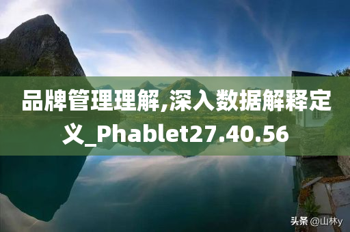 品牌管理理解,深入数据解释定义_Phablet27.40.56