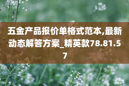 五金产品报价单格式范本,最新动态解答方案_精英款78.81.57