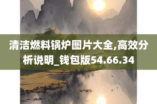 清洁燃料锅炉图片大全,高效分析说明_钱包版54.66.34