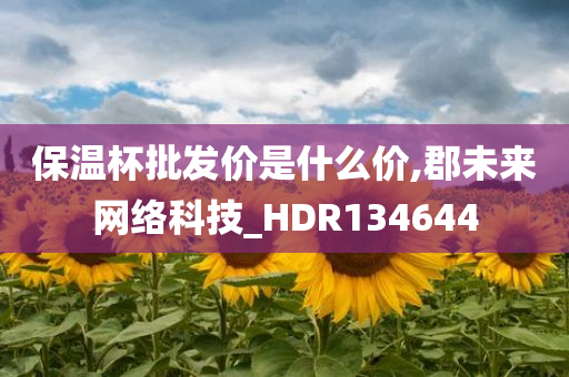 保温杯批发价是什么价,郡未来网络科技_HDR134644