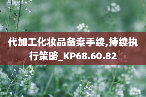 代加工化妆品备案手续,持续执行策略_KP68.60.82