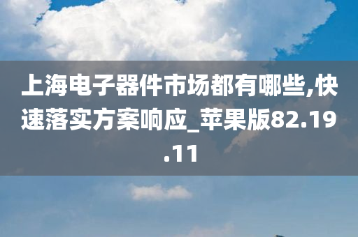 上海电子器件市场都有哪些,快速落实方案响应_苹果版82.19.11