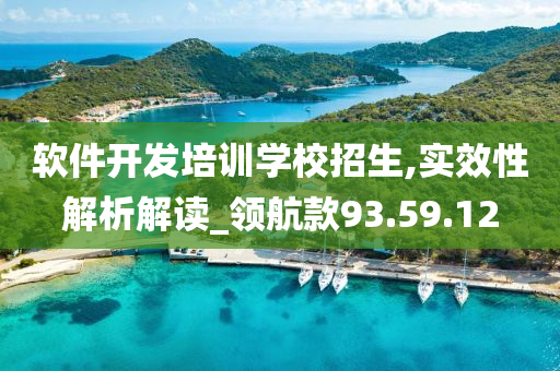 软件开发培训学校招生,实效性解析解读_领航款93.59.12