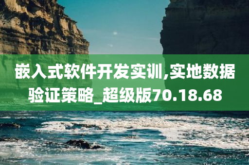 嵌入式软件开发实训,实地数据验证策略_超级版70.18.68