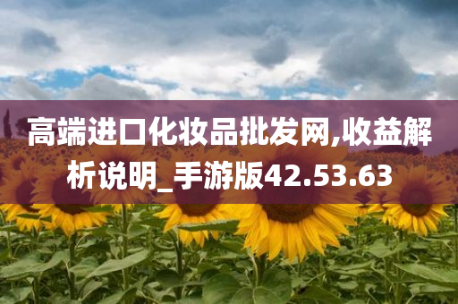 高端进口化妆品批发网,收益解析说明_手游版42.53.63