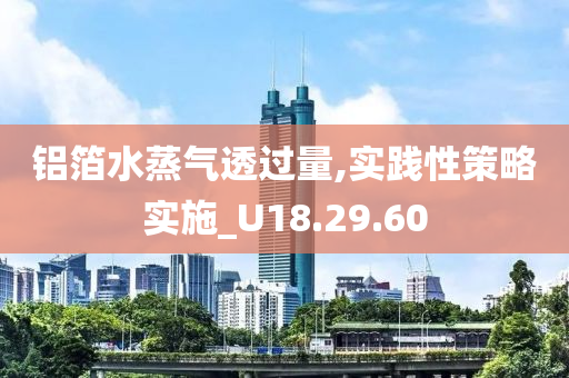 铝箔水蒸气透过量,实践性策略实施_U18.29.60