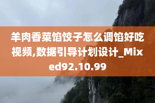 羊肉香菜馅饺子怎么调馅好吃视频,数据引导计划设计_Mixed92.10.99