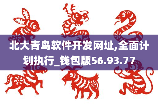 北大青鸟软件开发网址,全面计划执行_钱包版56.93.77