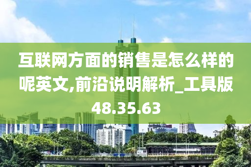 互联网方面的销售是怎么样的呢英文,前沿说明解析_工具版48.35.63