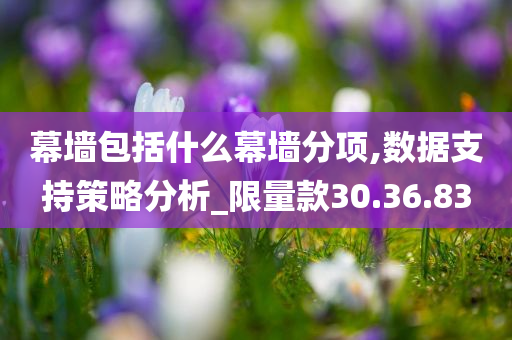 幕墙包括什么幕墙分项,数据支持策略分析_限量款30.36.83