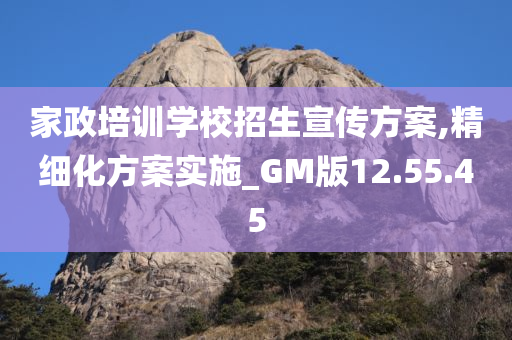 家政培训学校招生宣传方案,精细化方案实施_GM版12.55.45