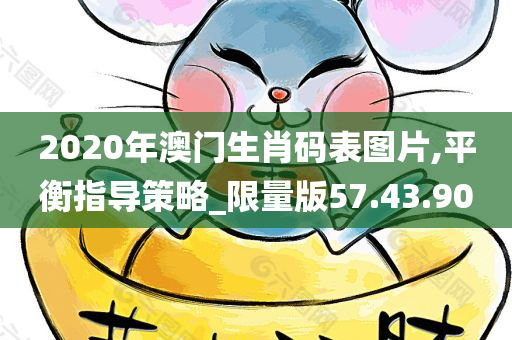 2020年澳门生肖码表图片,平衡指导策略_限量版57.43.90