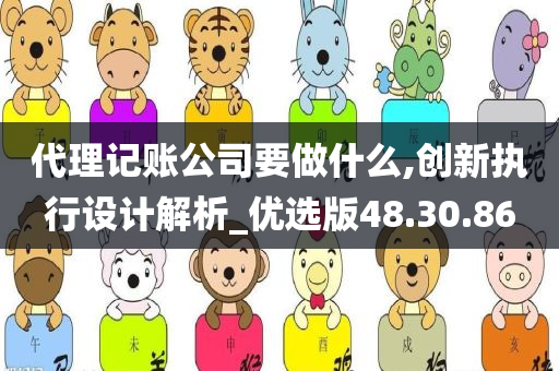 代理记账公司要做什么,创新执行设计解析_优选版48.30.86