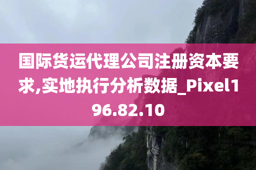 国际货运代理公司注册资本要求,实地执行分析数据_Pixel196.82.10