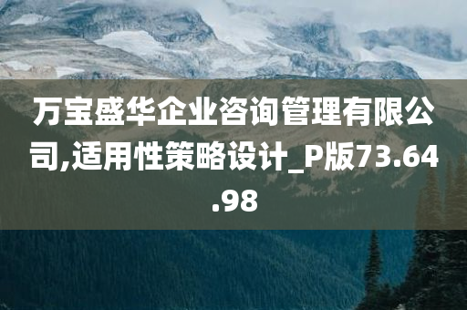 万宝盛华企业咨询管理有限公司,适用性策略设计_P版73.64.98