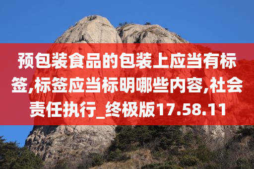 预包装食品的包装上应当有标签,标签应当标明哪些内容,社会责任执行_终极版17.58.11