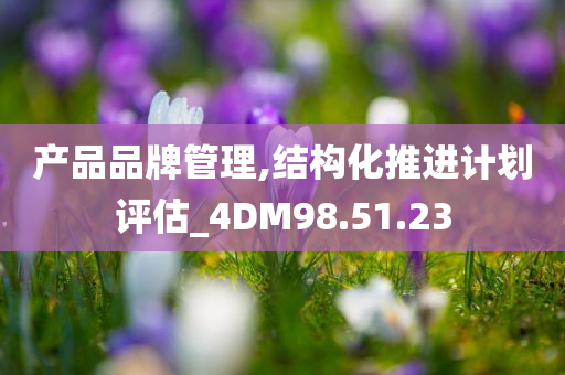 产品品牌管理,结构化推进计划评估_4DM98.51.23