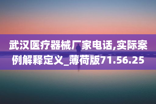 武汉医疗器械厂家电话,实际案例解释定义_薄荷版71.56.25