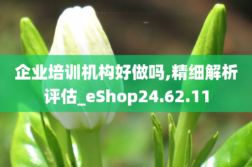 企业培训机构好做吗,精细解析评估_eShop24.62.11