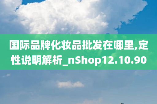 国际品牌化妆品批发在哪里,定性说明解析_nShop12.10.90