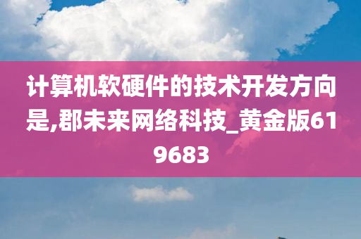 计算机软硬件的技术开发方向是,郡未来网络科技_黄金版619683